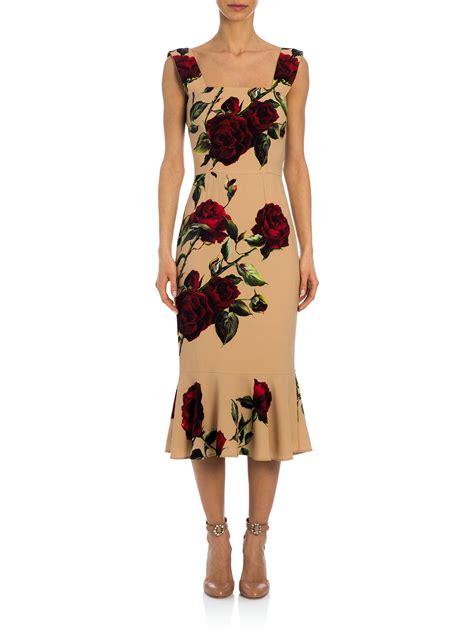 dolce gabbana rose print dress|ornament rose midi dress.